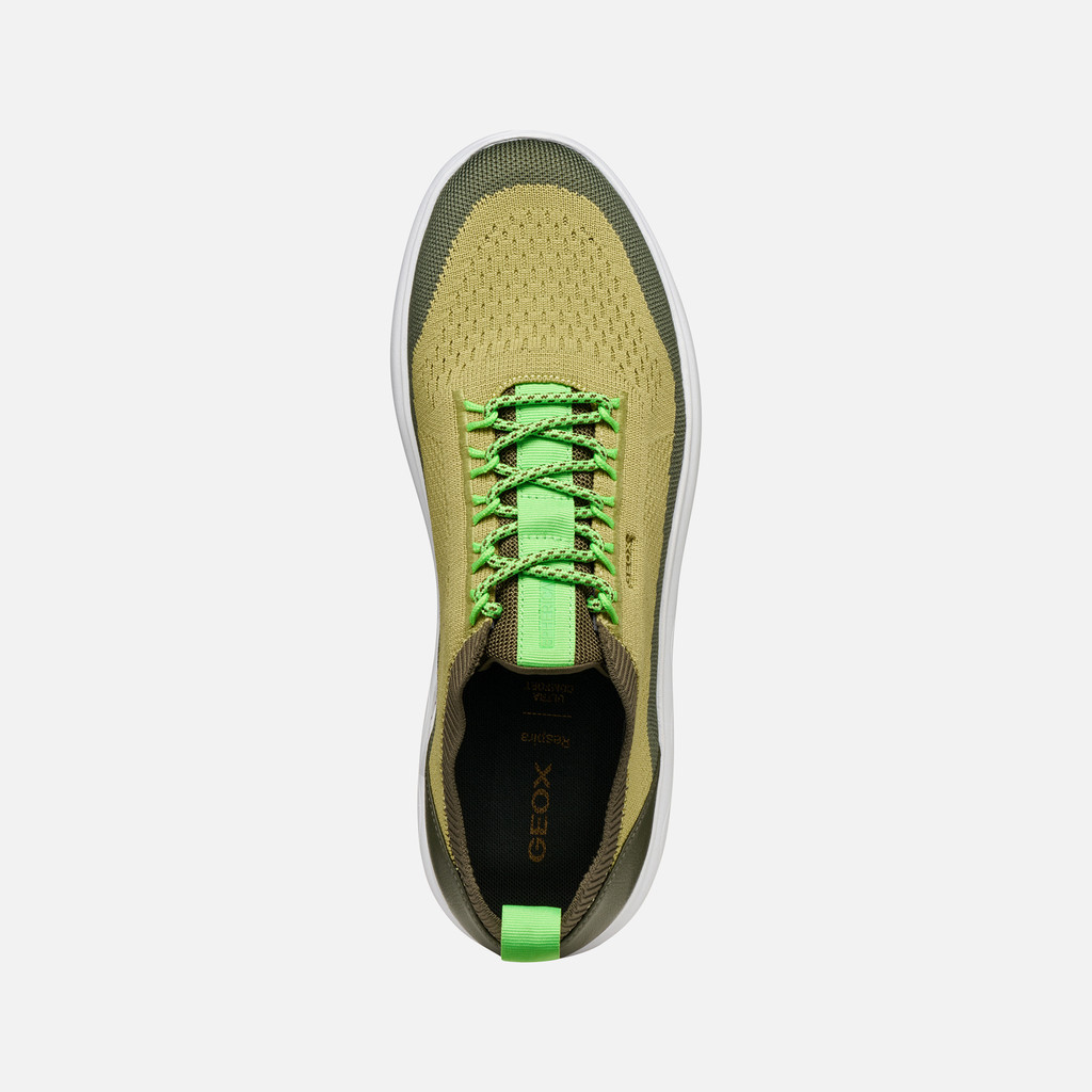 Fabric sneakers SPHERICA MAN Light Green/Olive - image number 5 | GEOX