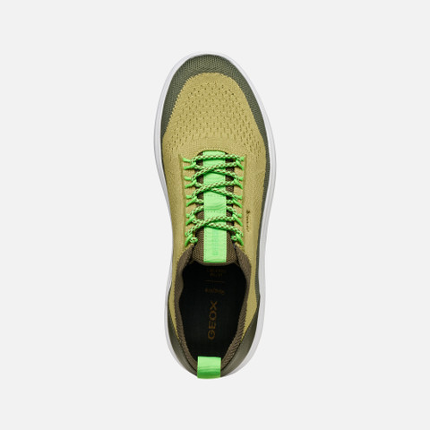 Fabric sneakers SPHERICA MAN Light Green/Olive - image number 5 | GEOX