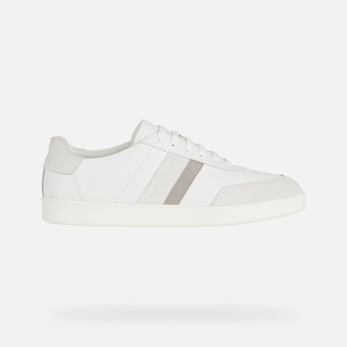 Low top sneakers REGIO MAN White/Off White | GEOX