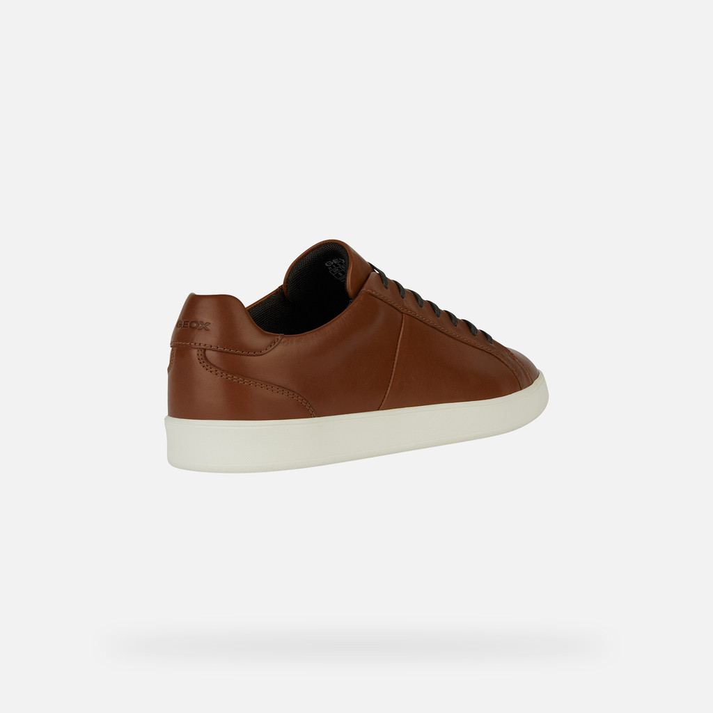 Low Top Sneakers REGIO MAN Light Brown - image number 4 | GEOX