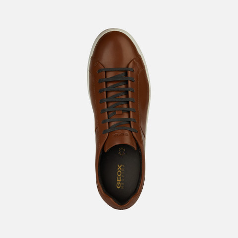 Low Top Sneakers REGIO MAN Light Brown - image number 5 | GEOX