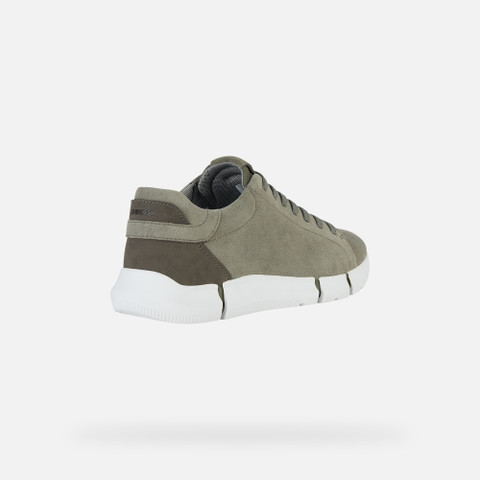 Low Top Sneakers ADACTER MAN Sage - image number 4 | GEOX