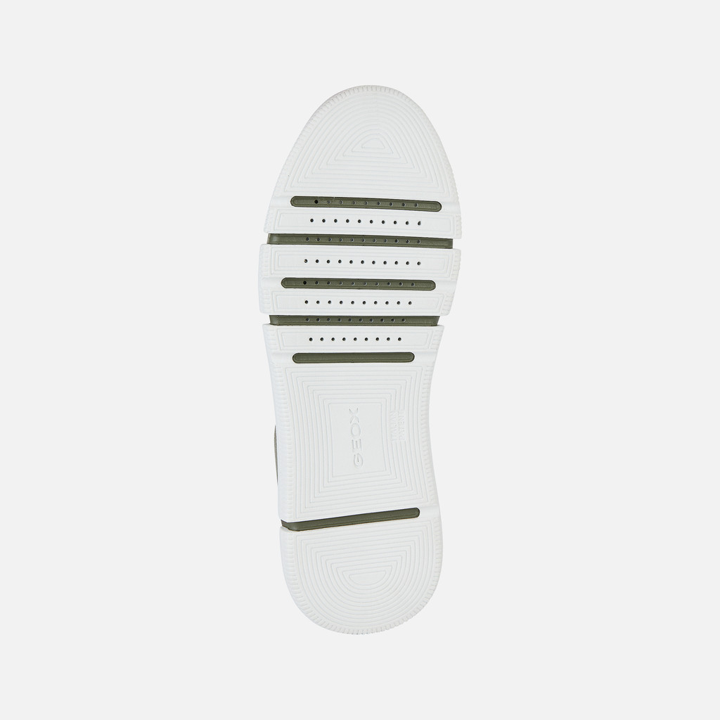 Low Top Sneakers ADACTER MAN Sage - image number 6 | GEOX