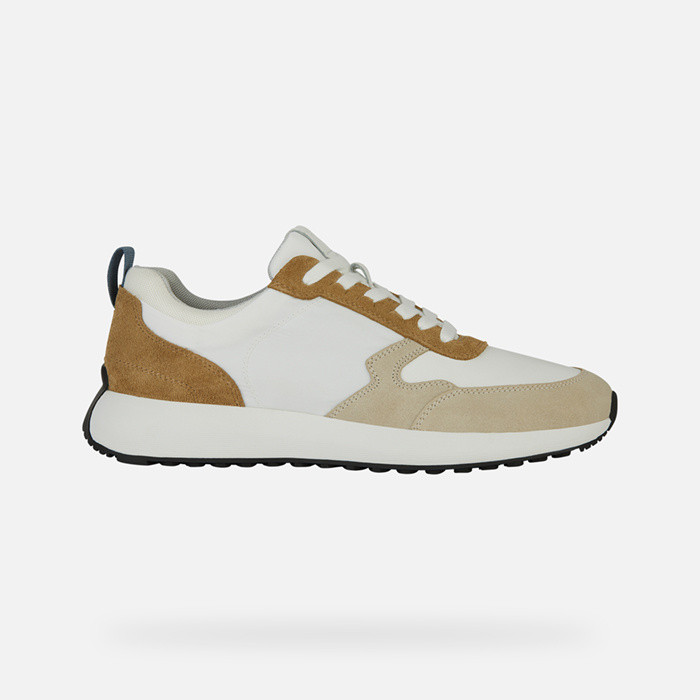 Low top sneakers VOLPIANO MAN Light taupe/White | GEOX