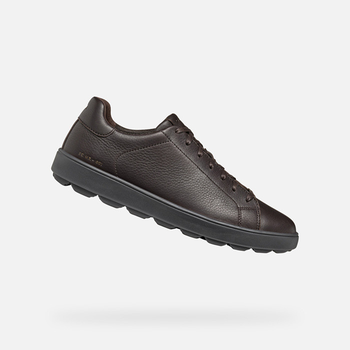 Zapatillas bajas SPHERICA ECUB-1 HOMBRE Marrón oscuro | GEOX