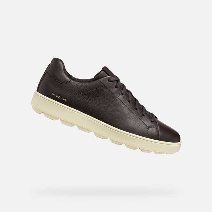Zapatillas bajas SPHERICA ECUB-1 HOMBRE Marrón oscuro | GEOX