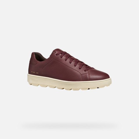 Low top sneakers SPHERICA ECUB-1 MAN Wine - image number 2 | GEOX