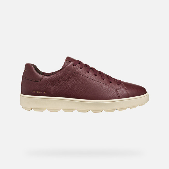 Low top sneakers SPHERICA ECUB-1 MAN Wine | GEOX