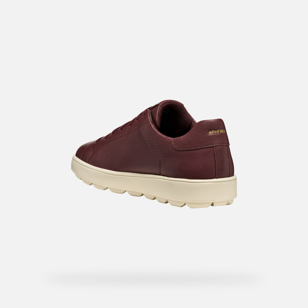 Low top sneakers SPHERICA ECUB-1 MAN Wine - image number 3 | GEOX