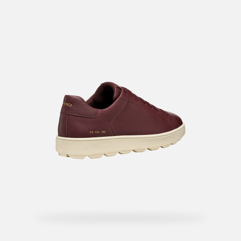 Low top sneakers SPHERICA ECUB-1 MAN Wine - image number 4 | GEOX