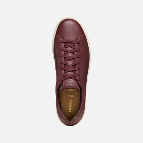 Low top sneakers SPHERICA ECUB-1 MAN Wine - image number 5 | GEOX