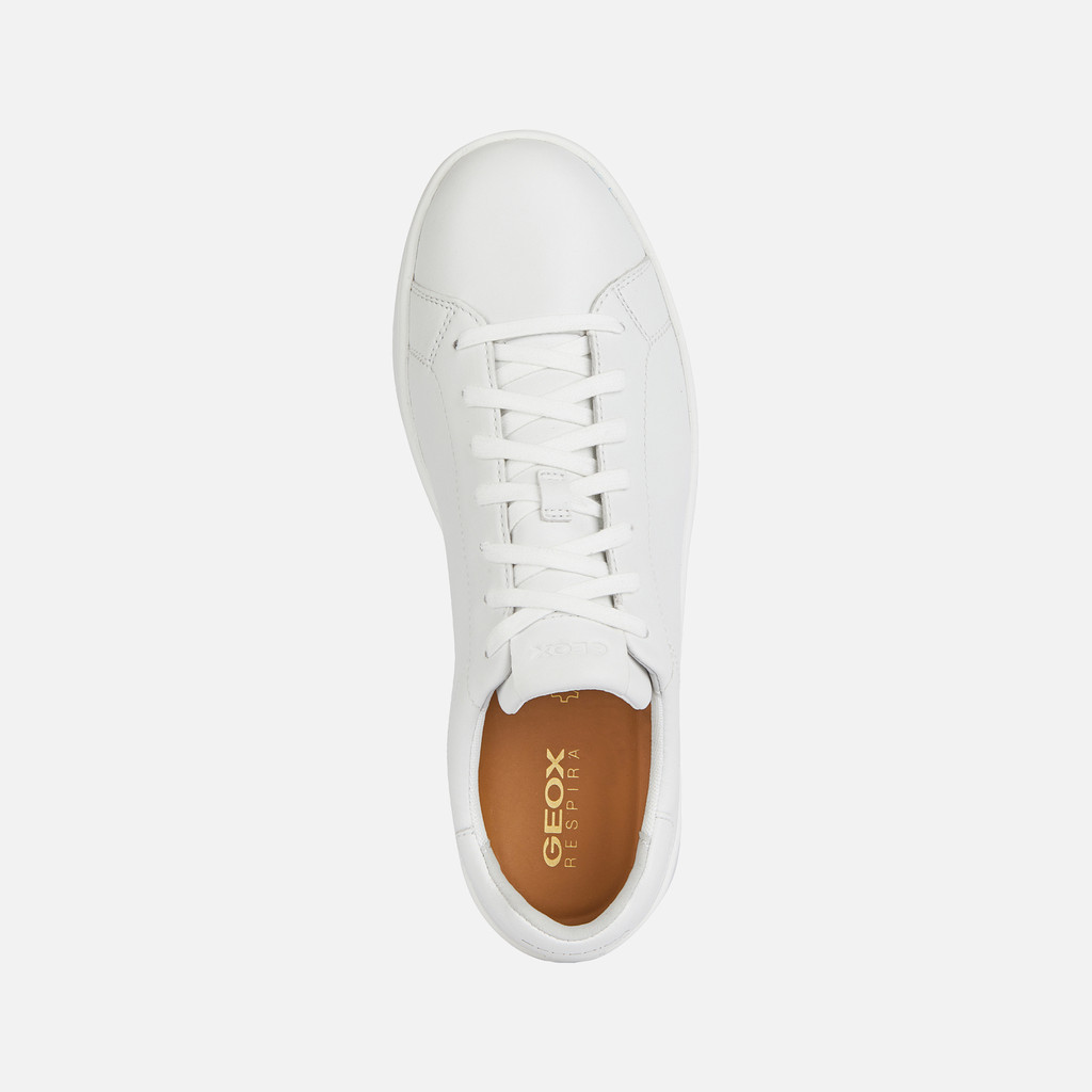 Geox® SPHERICA ECUB-1: Men's white Low Top Sneakers | Geox® SS