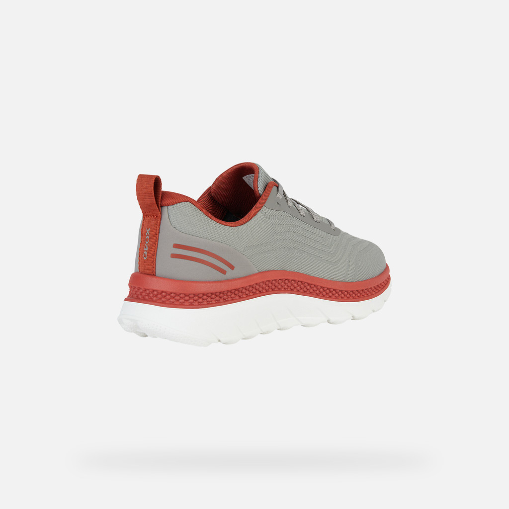cushioned sneakers SPHERICA ACTIF X MAN Rock - image number 4 | GEOX