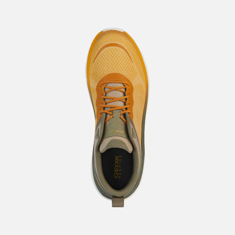 cushioned sneakers SPHERICA ACTIF X MAN Yellow/Sage - image number 5 | GEOX
