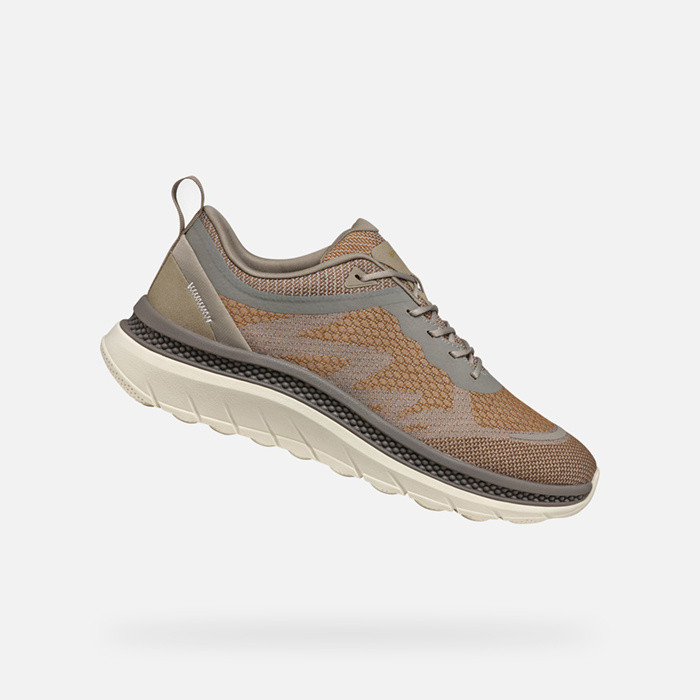 Low top sneakers SPHERICA ACTIF X MAN Toffee/Taupe | GEOX