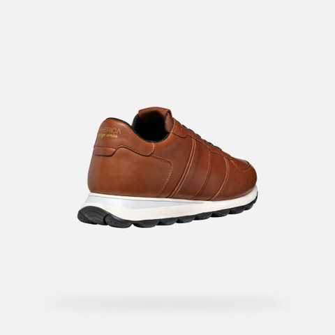 Low top sneakers SPHERICA VSERIES MAN Light Brown - image number 4 | GEOX