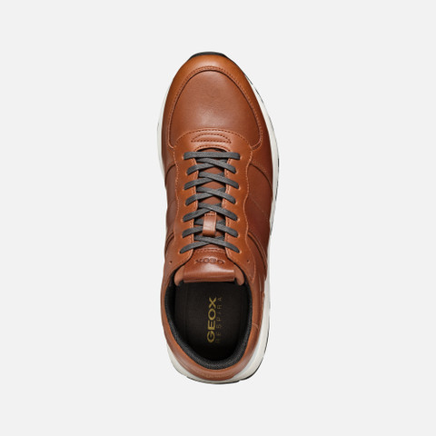 Low top sneakers SPHERICA VSERIES MAN Light Brown - image number 5 | GEOX