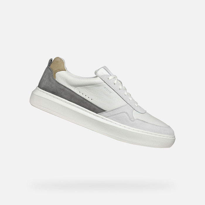 Low top sneakers DEIVEN MAN Off White/Anthracite | GEOX