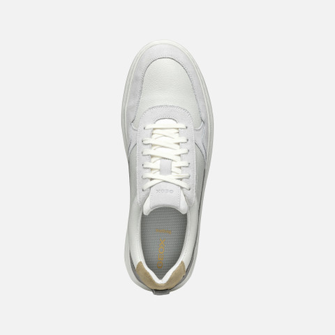 Low Top Sneakers DEIVEN MAN Off White/Anthracite - image number 6 | GEOX