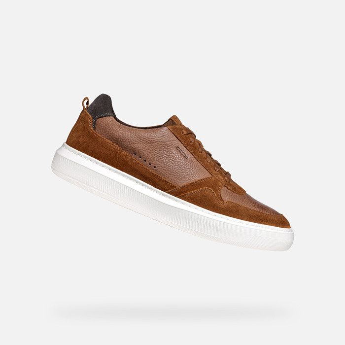 Low top sneakers DEIVEN MAN Brown cotto | GEOX