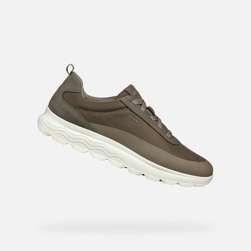 Niedrige Sneakers SPHERICA HERR Taupe - image number 0 | GEOX