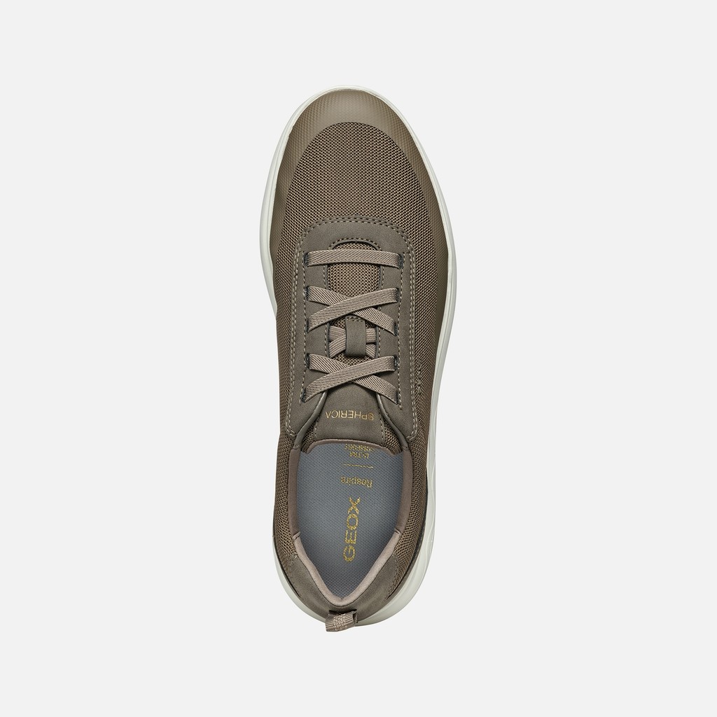 Niedrige Sneakers SPHERICA HERR Taupe - image number 6 | GEOX