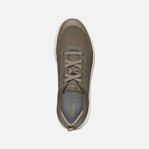 Niedrige Sneakers SPHERICA HERR Taupe - image number 6 | GEOX