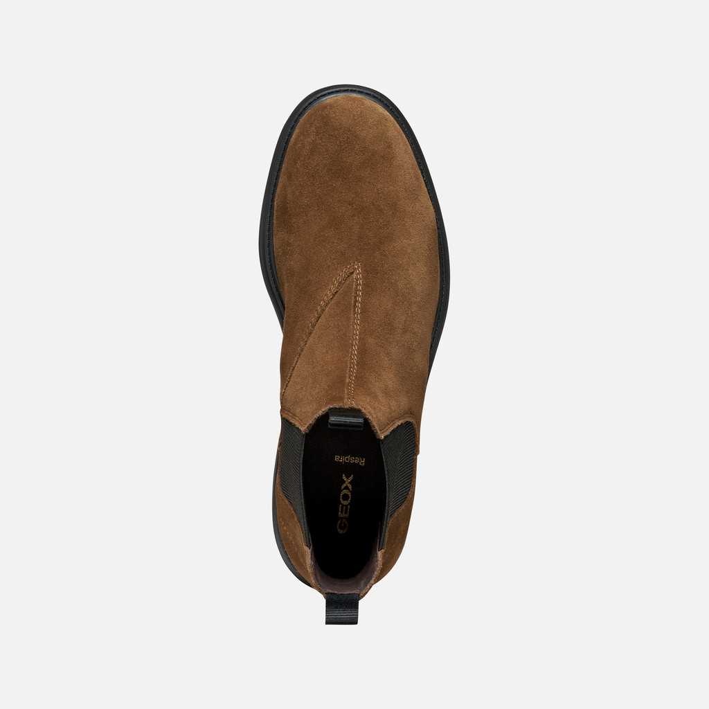 Chelsea boots SPHERICA EC7 MAN Brown cotto - image number 5 | GEOX