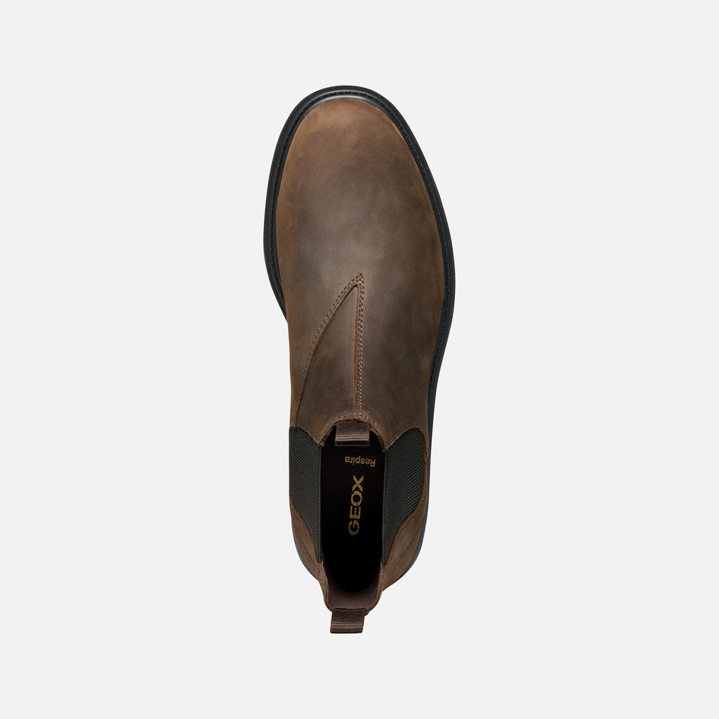 Chelsea boots SPHERICA EC7 MAN Coffee - image number 5 | GEOX