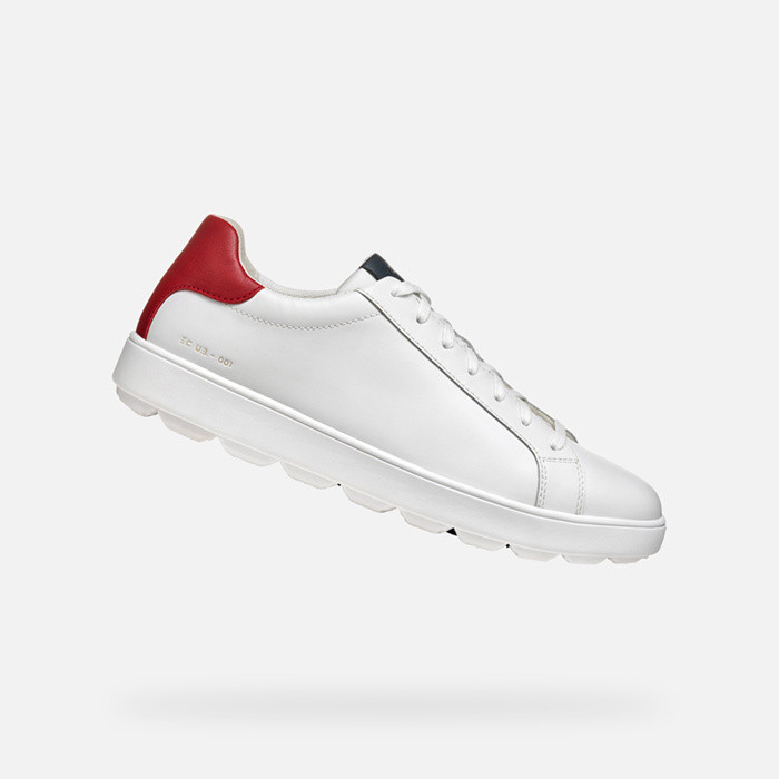 Low top sneakers SPHERICA ECUB-1 MAN White/Navy/Red | GEOX