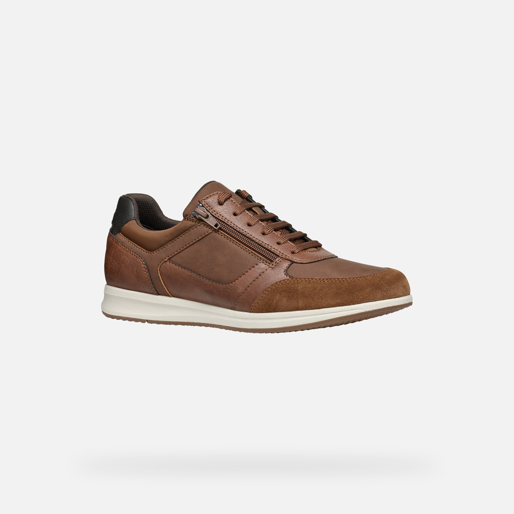 Geox® AVERY MAN: Brown cotto Low Top Sneakers | Geox