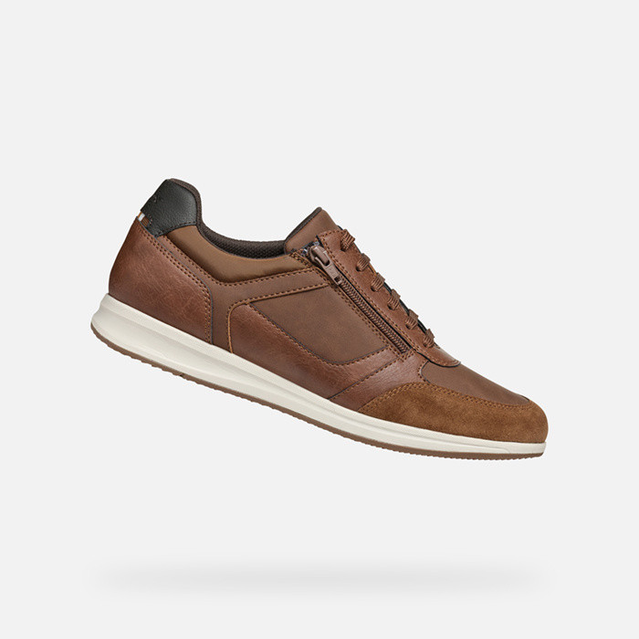 Low top sneakers AVERY MAN Brown cotto | GEOX