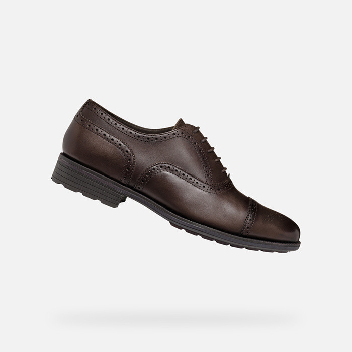 Sapatos de pele WALK PLEASURE F HOMEM Castanho escuro | GEOX