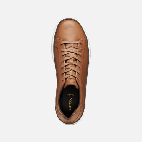 Low top sneakers ZACKERTY MAN Cognac - image number 5 | GEOX