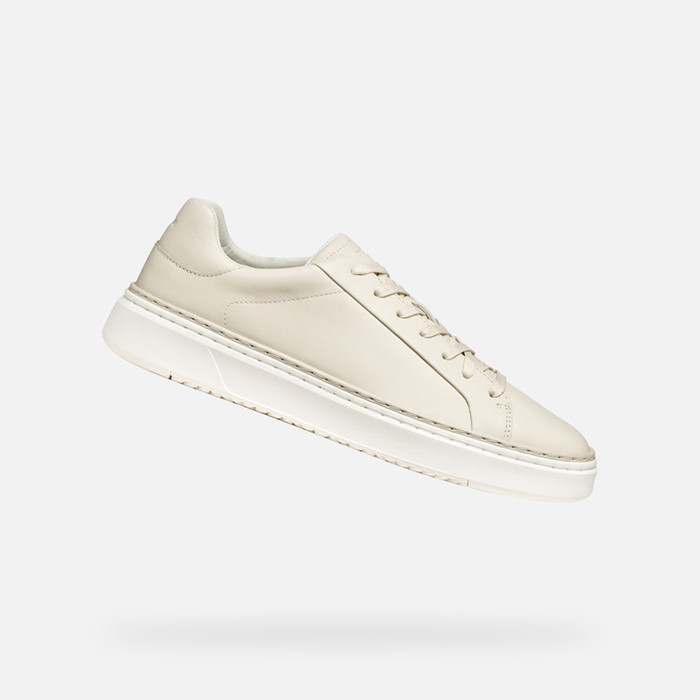 Low top sneakers ZACKERTY MAN Papyrus | GEOX
