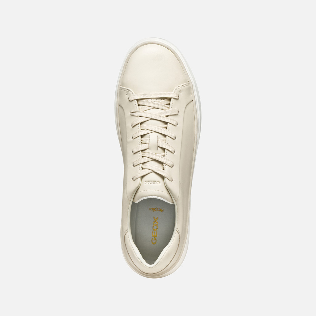 Low top sneakers ZACKERTY MAN Papyrus - image number 5 | GEOX