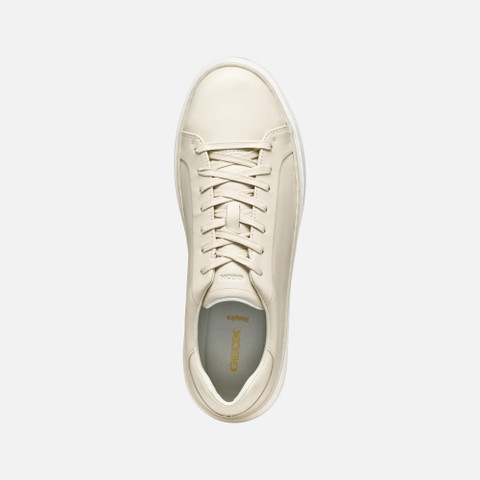Low top sneakers ZACKERTY MAN Papyrus - image number 5 | GEOX