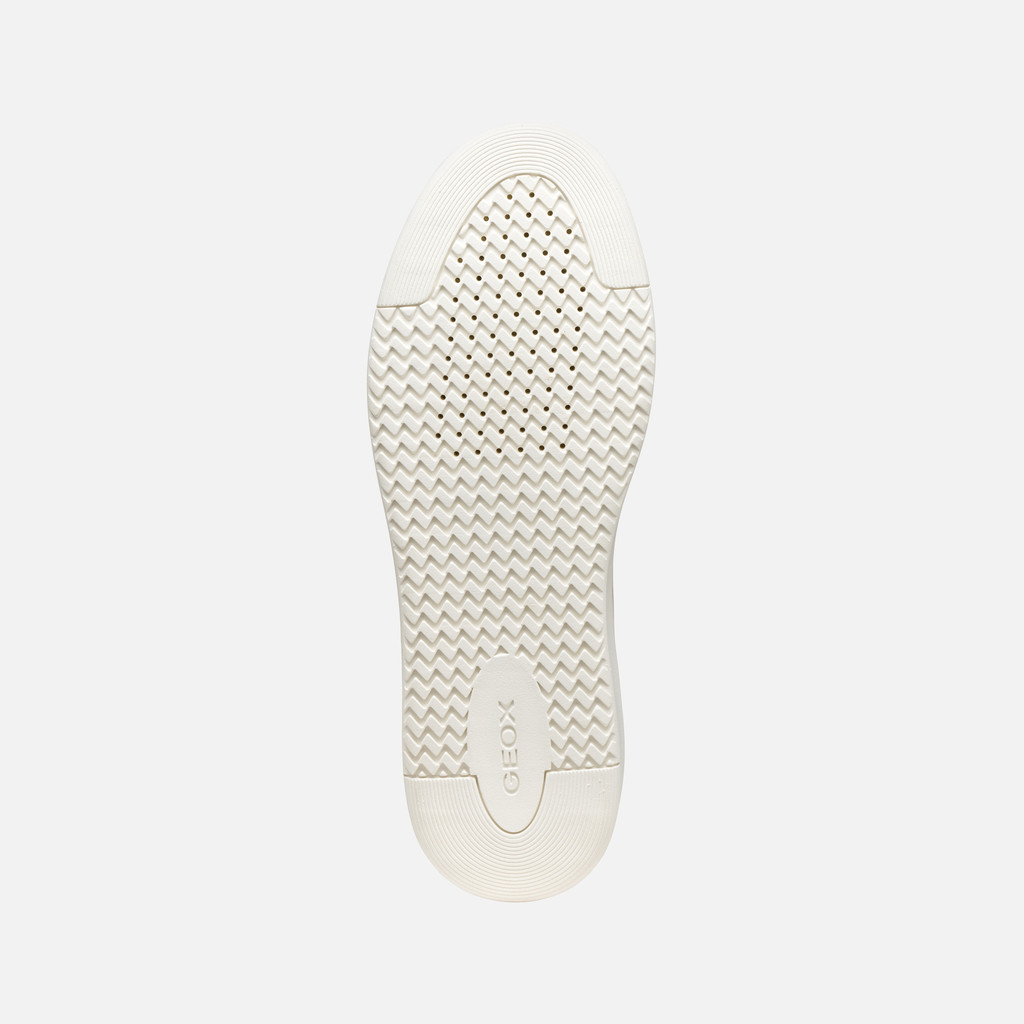Low top sneakers ZACKERTY MAN Papyrus - image number 6 | GEOX