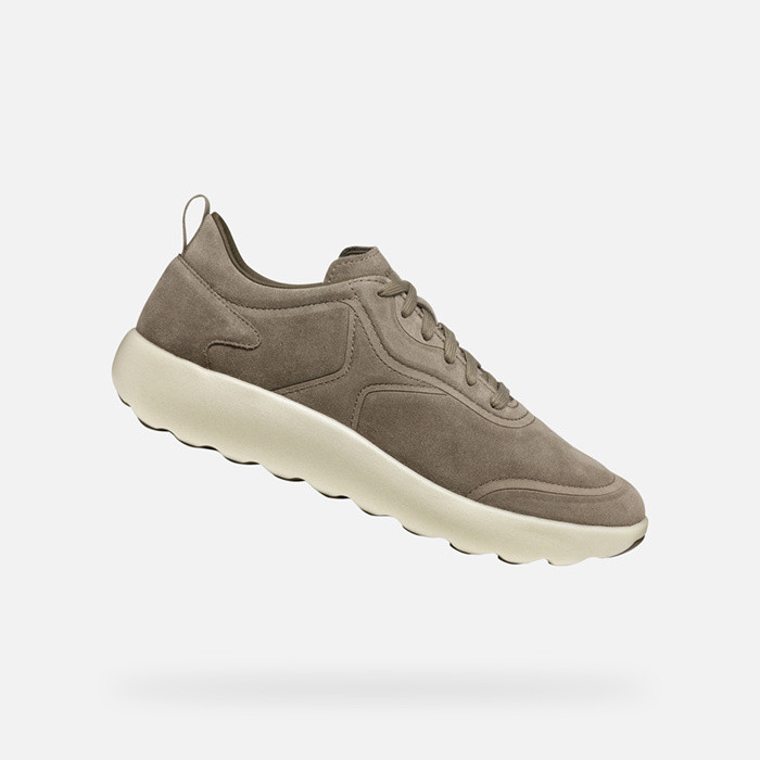 Niedrige sneakers XTORS HERR Taupe | GEOX