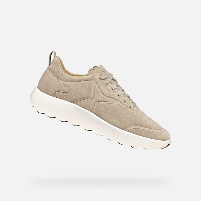 Niedrige sneakers XTORS HERR Beige | GEOX