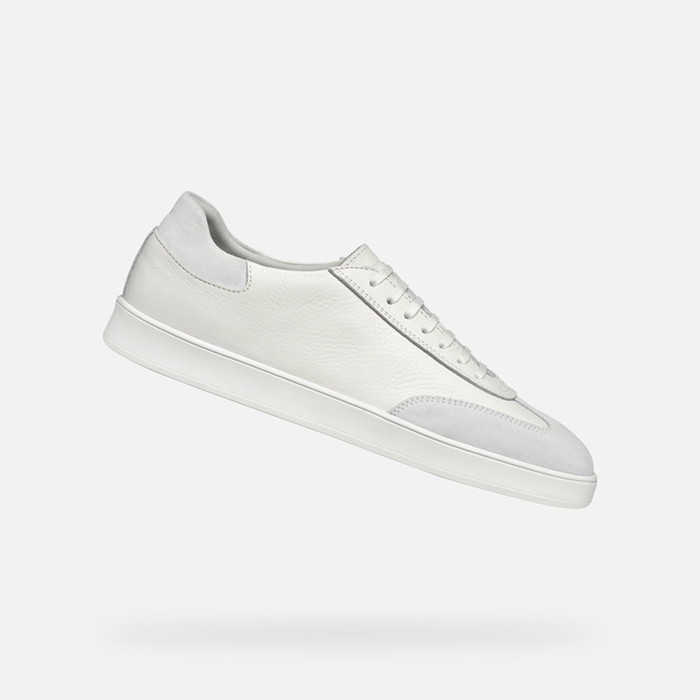 Low top sneakers REGIO MAN White | GEOX