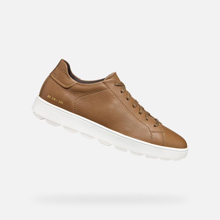 Low top sneakers SPHERICA ECUB-1 MAN Toffee | GEOX