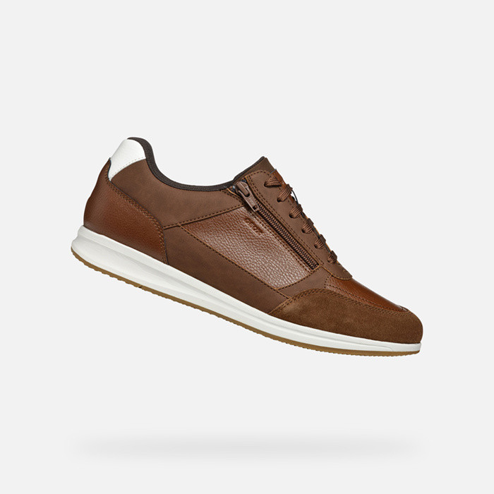 Low top sneakers AVERY MAN Brown cotto | GEOX