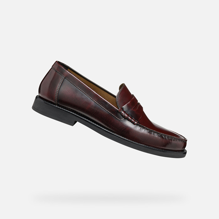 Leather loafers RECANATI MAN Wine | GEOX