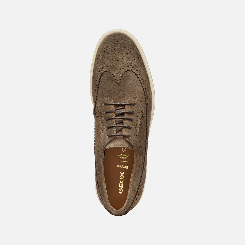 Wildlederschuhe SPHERICA EC17 HERR Taupe - image number 5 | GEOX