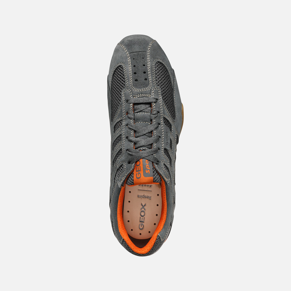 Low top sneakers SNAKE ORIGINAL MAN Gray - image number 6 | GEOX