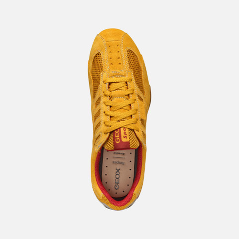 Low top sneakers SNAKE ORIGINAL MAN Ochre - image number 6 | GEOX