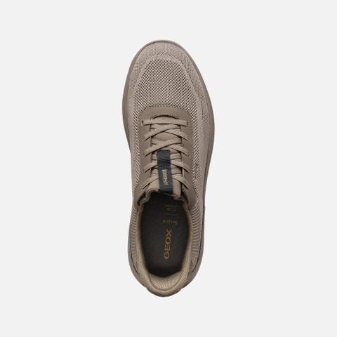 Slip in sneakers SPHERICA PLUS MAN Dove grey - image number 5 | GEOX