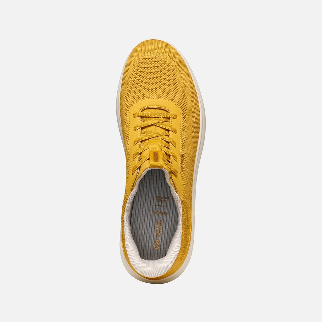 Slip in sneakers SPHERICA PLUS MAN Yellow - image number 5 | GEOX