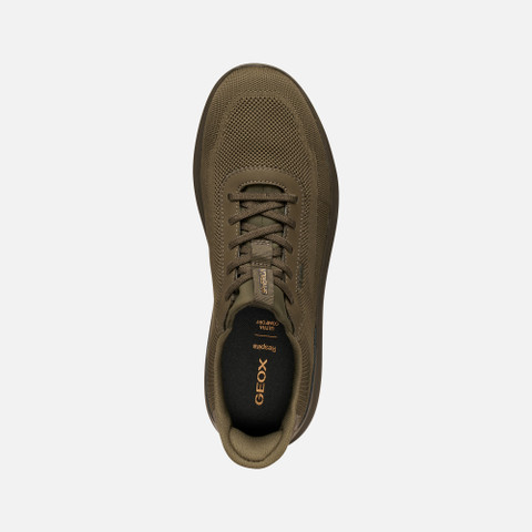 Low top sneakers SPHERICA PLUS MAN dark Military - image number 5 | GEOX
